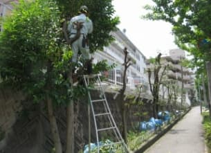 植栽管理